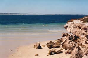 Penguin Point photo